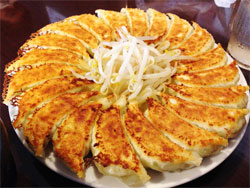 gyoza.jpg