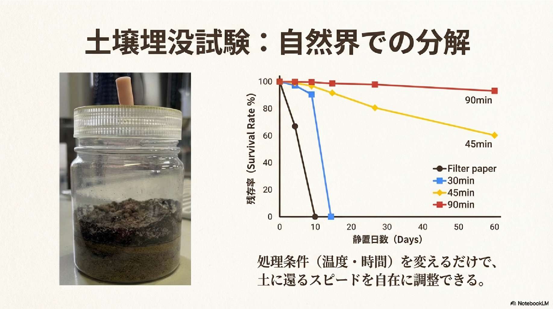 生分解性試験