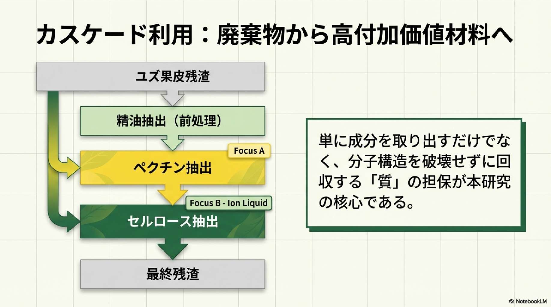 ユズ果皮展開