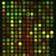 microarray raw data