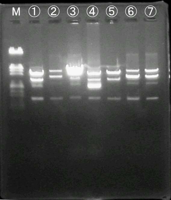 �Q�� No. 3
