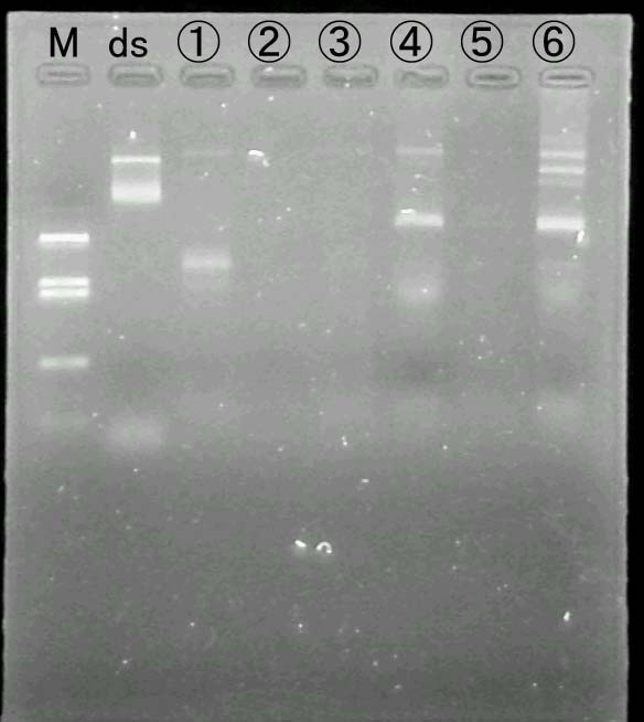 �Q�� No. 4