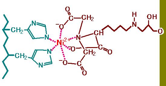 Nickel-NTA