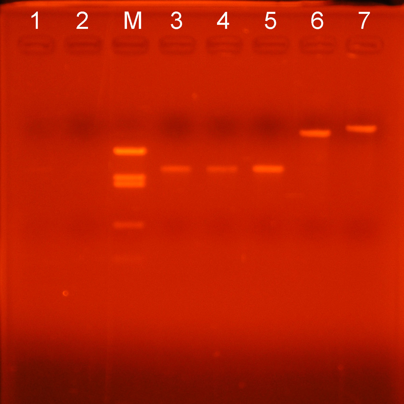 �Q�� No. 3