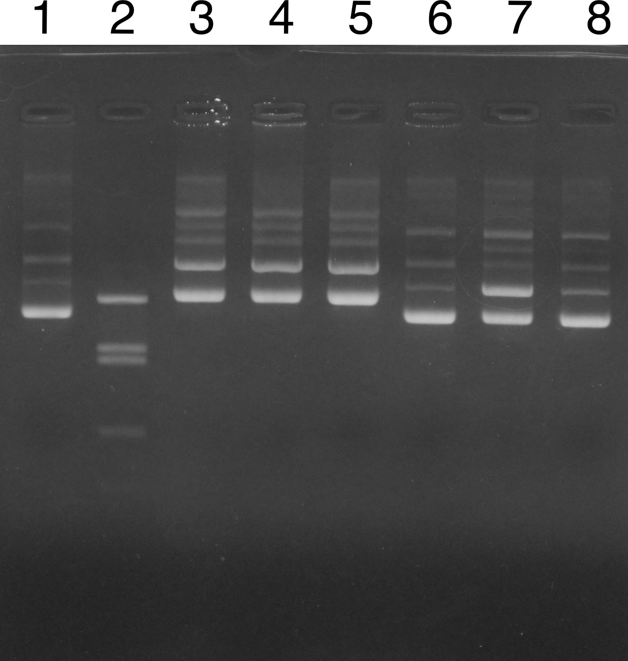 �Q�� No. 2