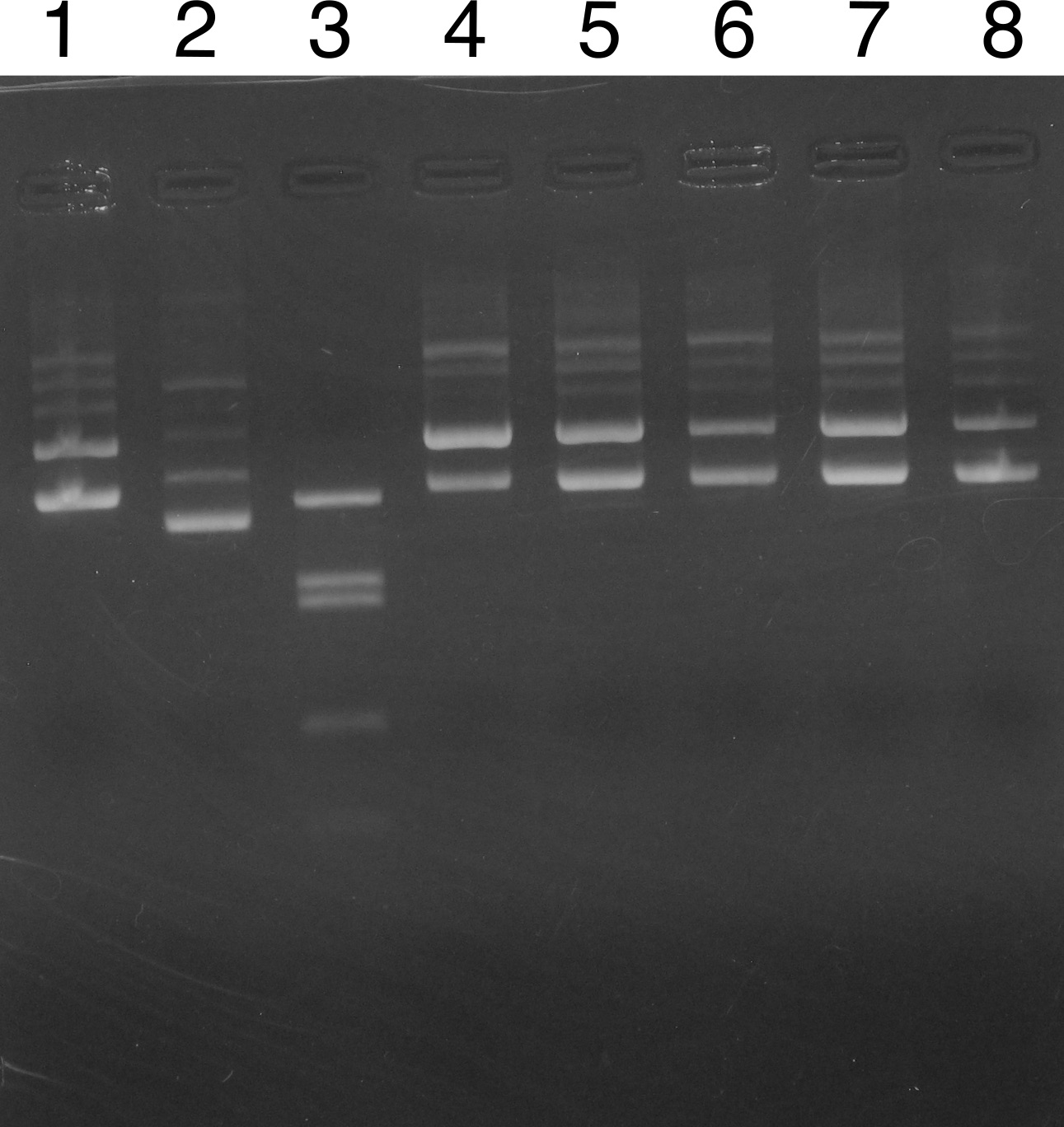 �Q�� No. 3
