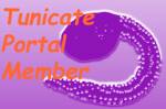 Tunicate Portal