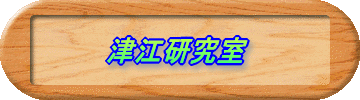 津江研究室 