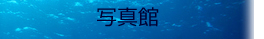 ʐ^