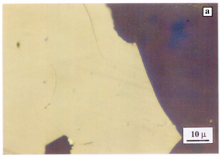 Vitrinite reflectance microscopy image