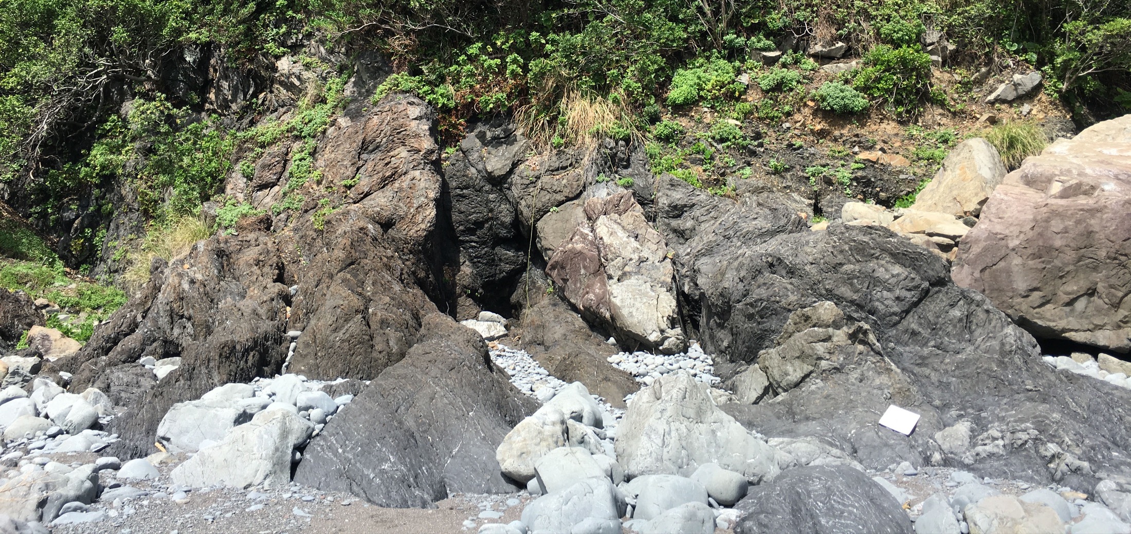 Goshikino-Hama Fault in the Yokonami melange