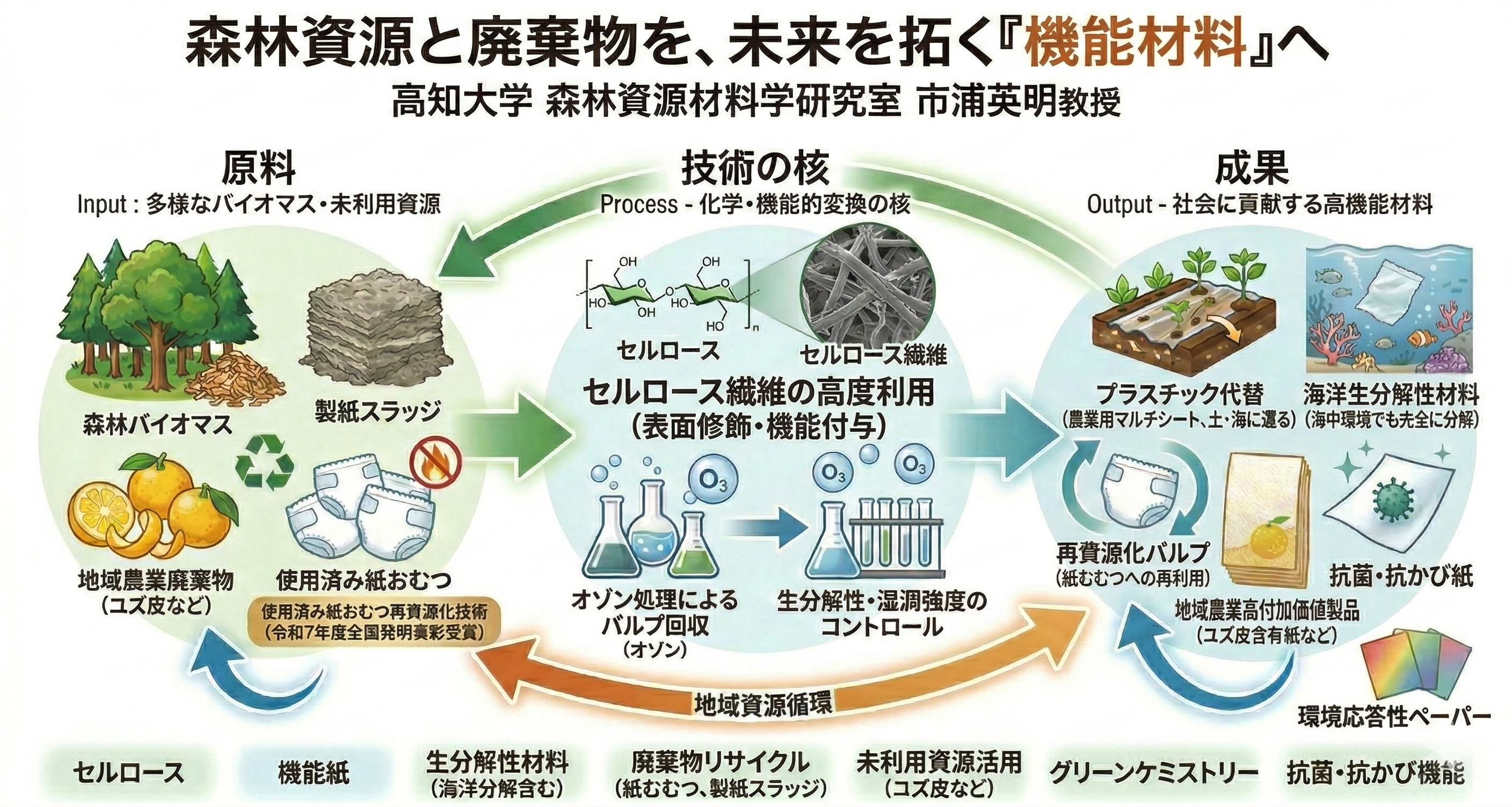 研究内容ポンチ絵