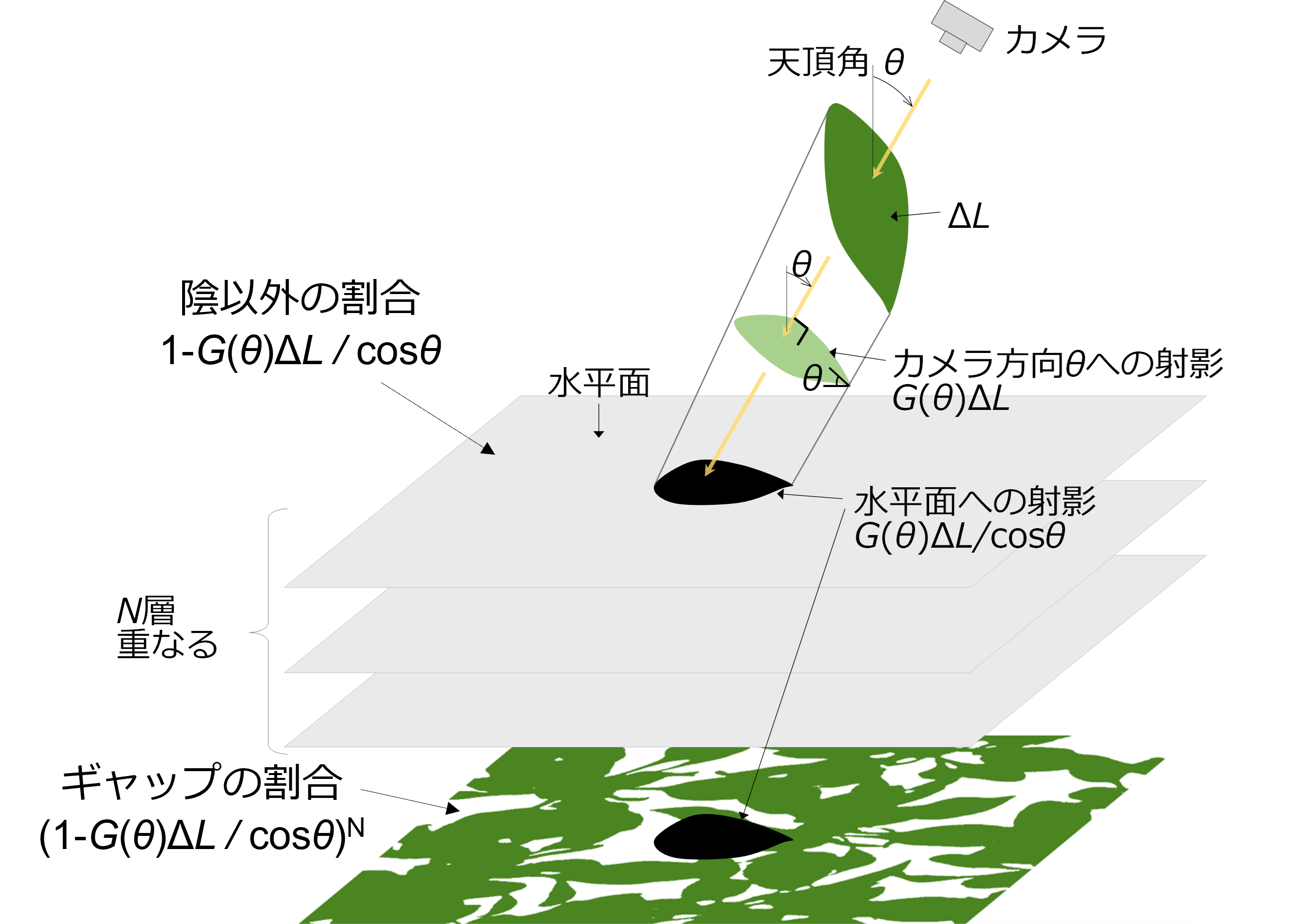 Estimation of LAI