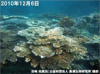 101206_白化回復