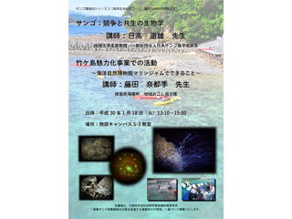 チラシ
