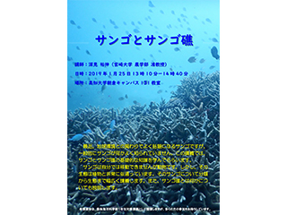 チラシ