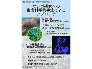 チラシ