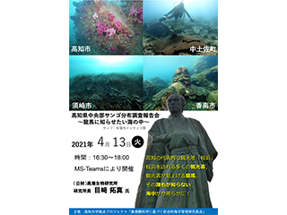 チラシ