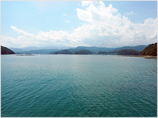 湾内の様子