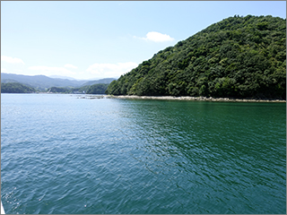 湾内の様子