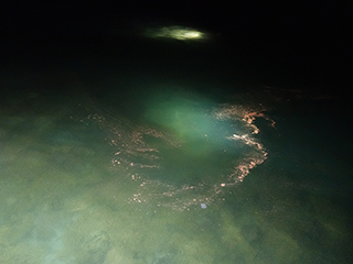 海面のバンドル