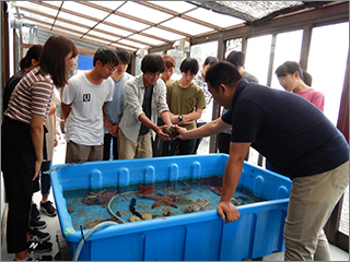 サンルームの水槽での観察