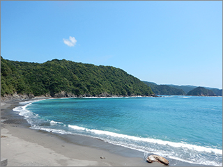 横浪林海実験所看板