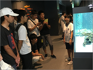 展示生物の解説