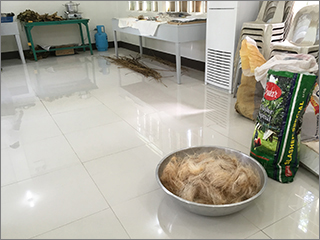 Abaca（マニラ麻）を利用したの商品開発1