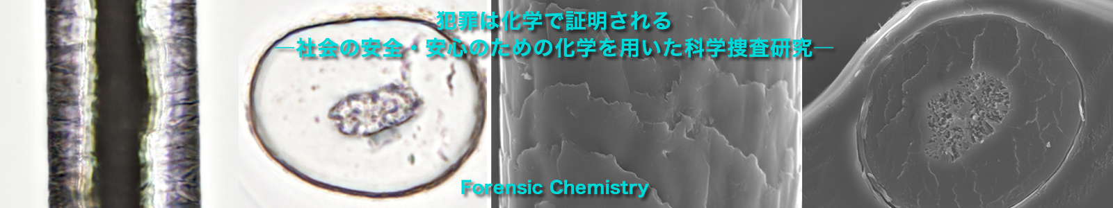 forensic chemistry