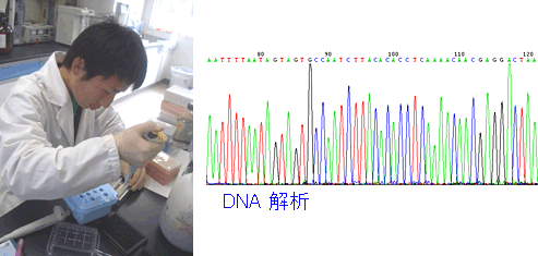 DNA