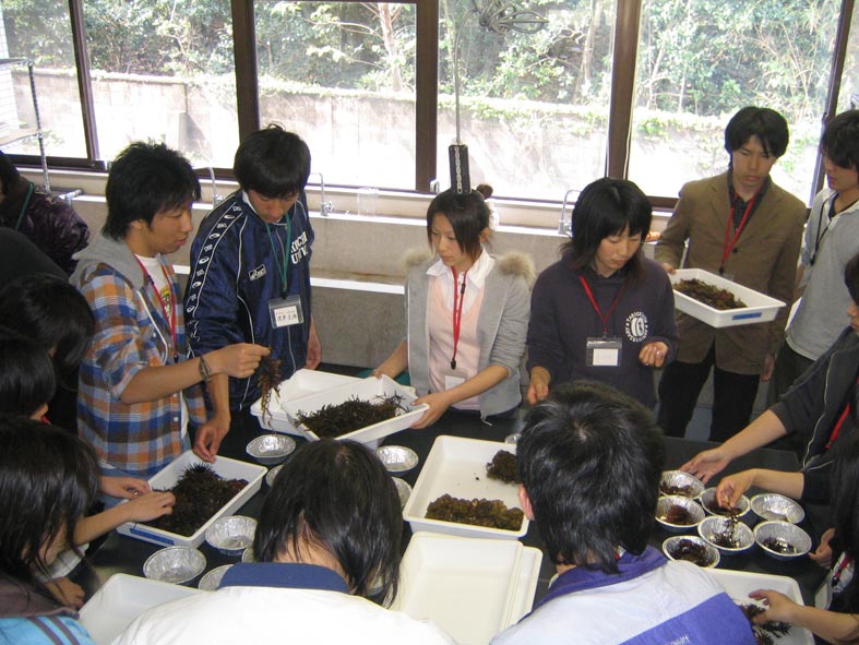 sorting1