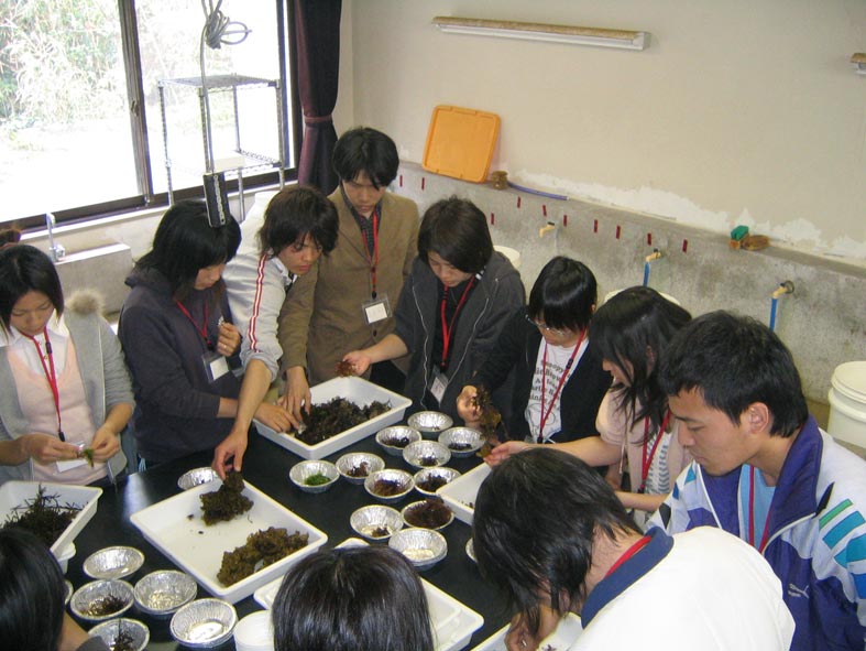 sorting2