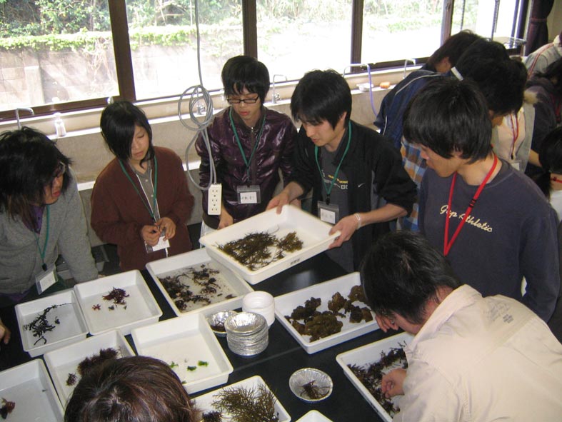 sorting3