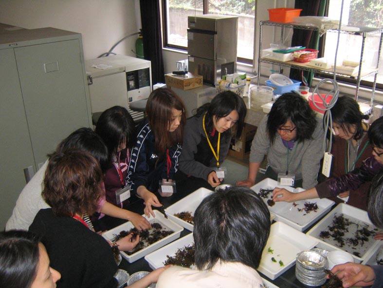 sorting4