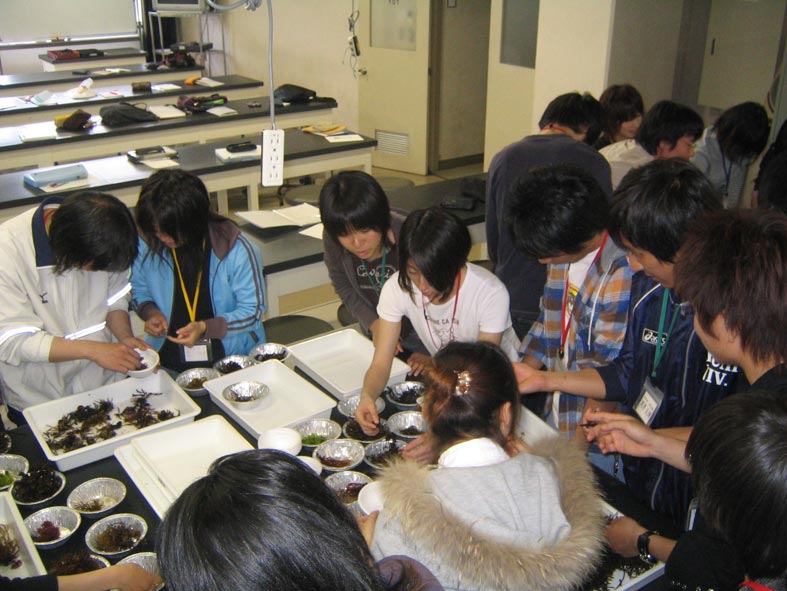 sorting8