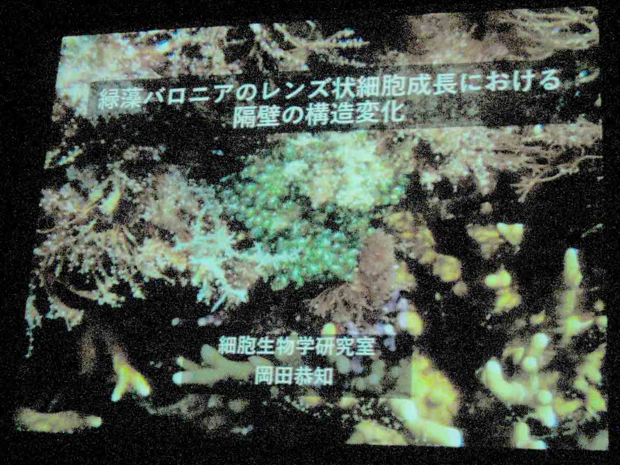 お
