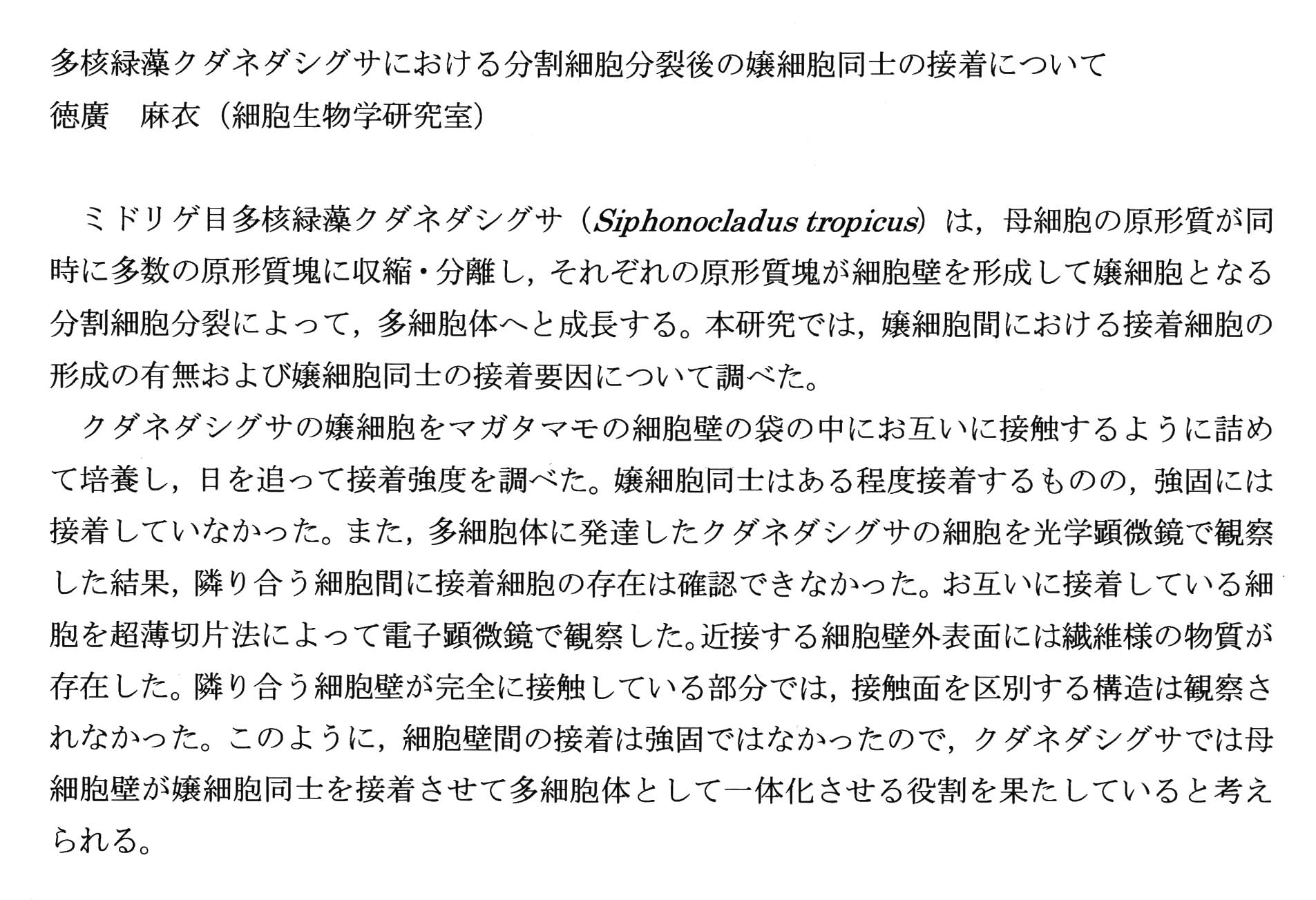 tokuhiro