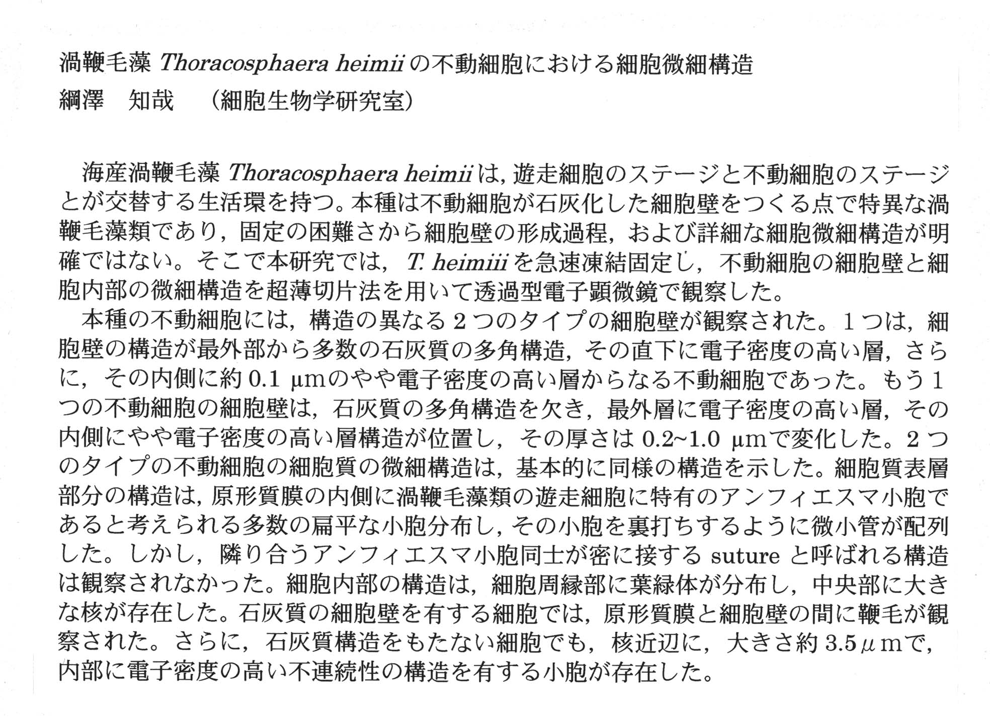 tsunasawa