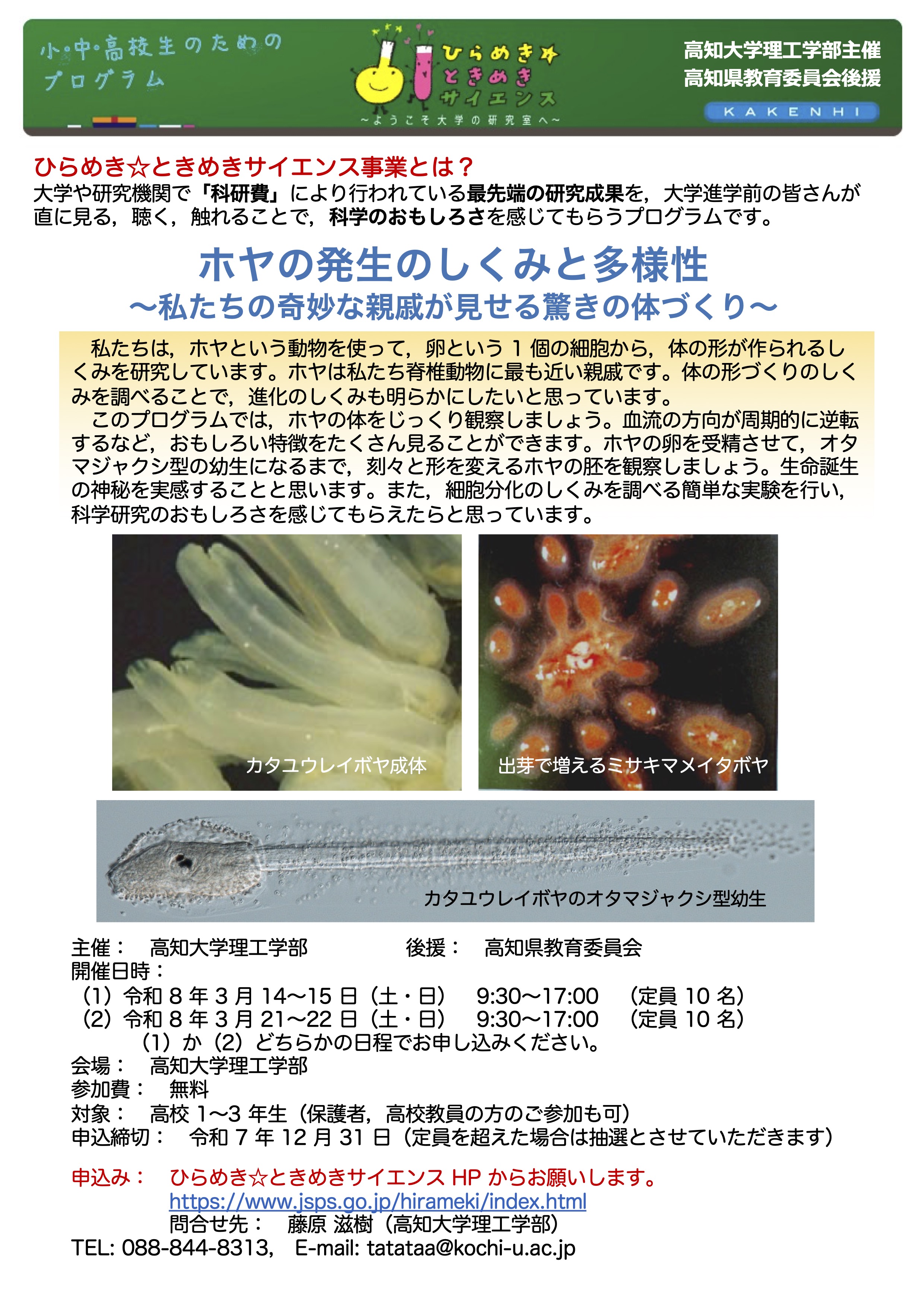 �u�Ђ�߂����Ƃ��߂��T�C�G���X�v�z�����K�|�X�^�[