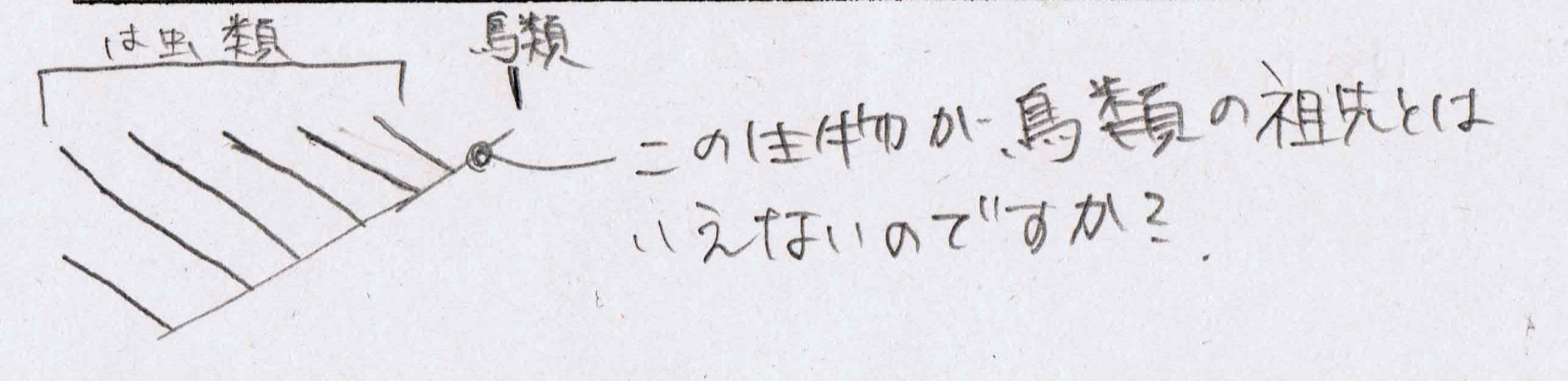 爬虫類と鳥類