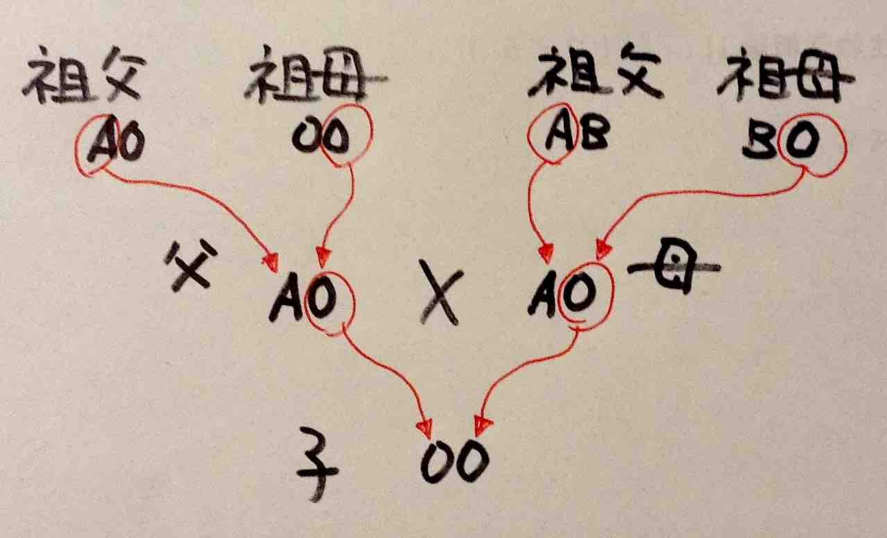 血液型の隔世遺伝