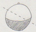 卵の分割