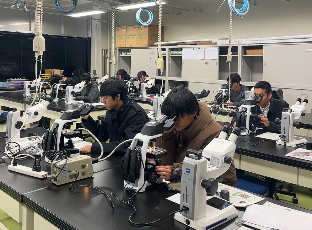 �������ώ@