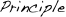 Principle